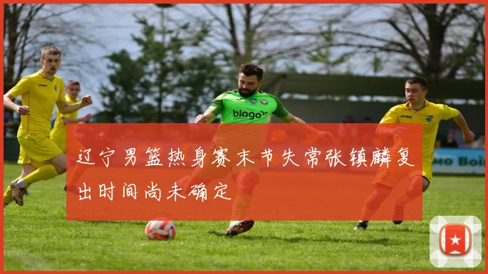 辽宁男篮热身赛末节失常张镇麟复出时间尚未确定