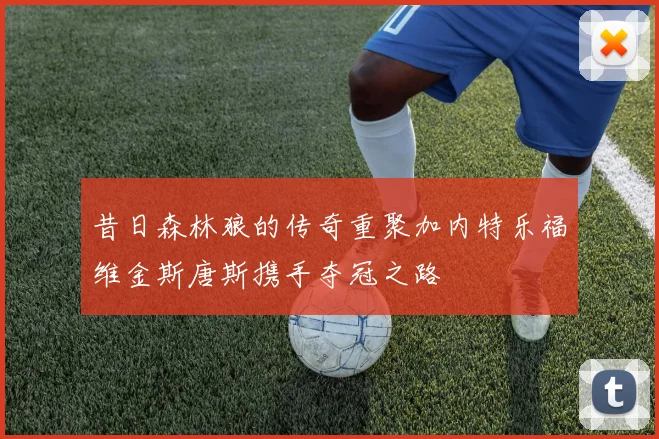 昔日森林狼的传奇重聚加内特乐福维金斯唐斯携手夺冠之路