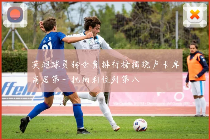 英超球员转会费排行榜揭晓卢卡库高居第一托纳利位列第八